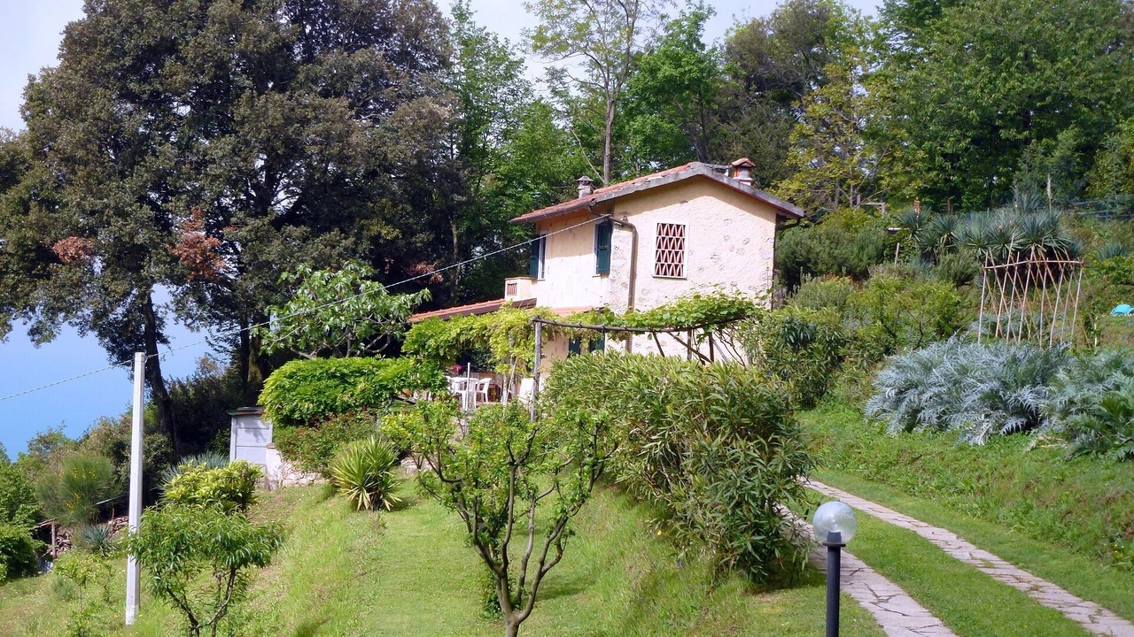 Photo of Outdoor in Pietrasanta