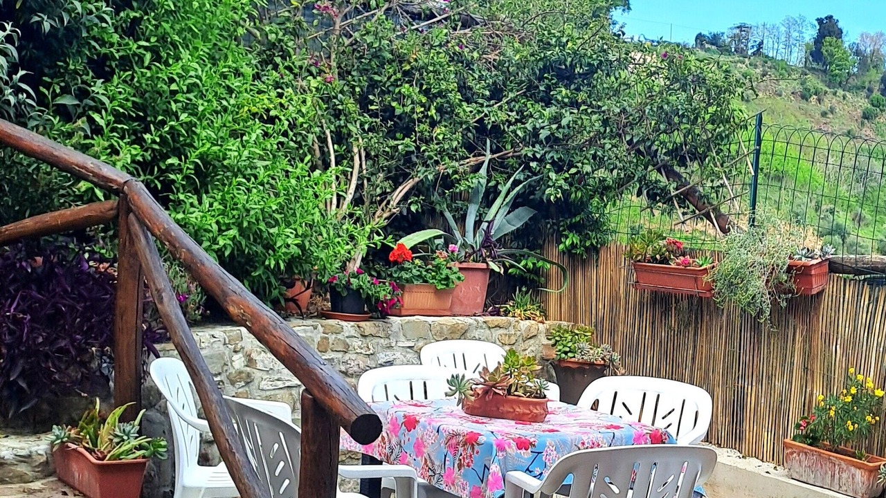 Photo of Outdoor in Massarosa