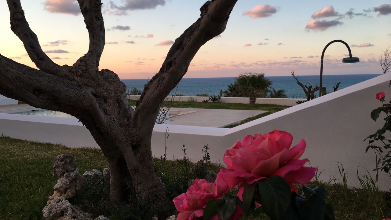 Photo of Outdoor in Castellammare del Golfo