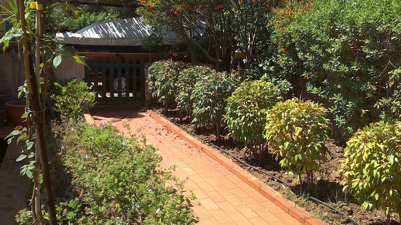 Photo of Outdoor in Scopello