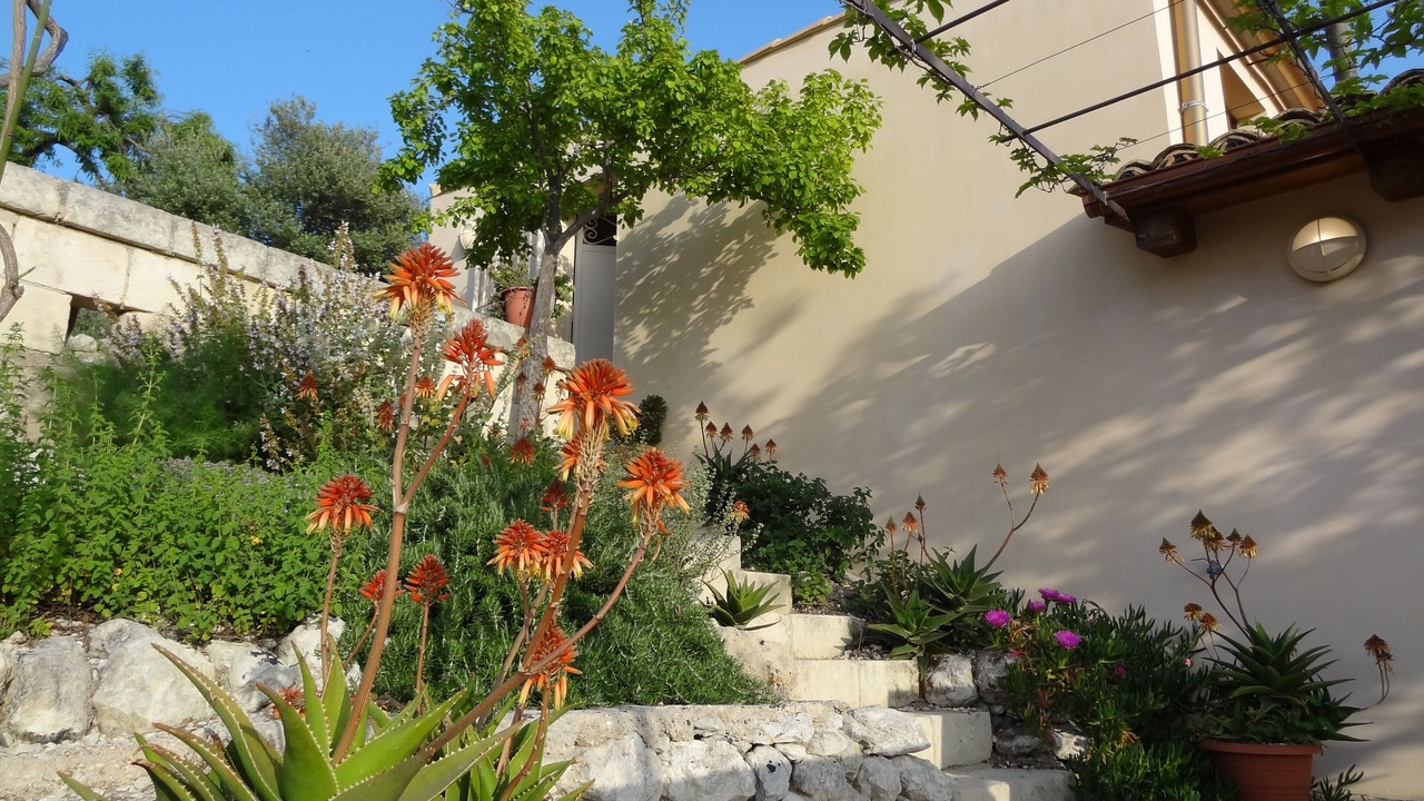 Photo of Outdoor in Avola
