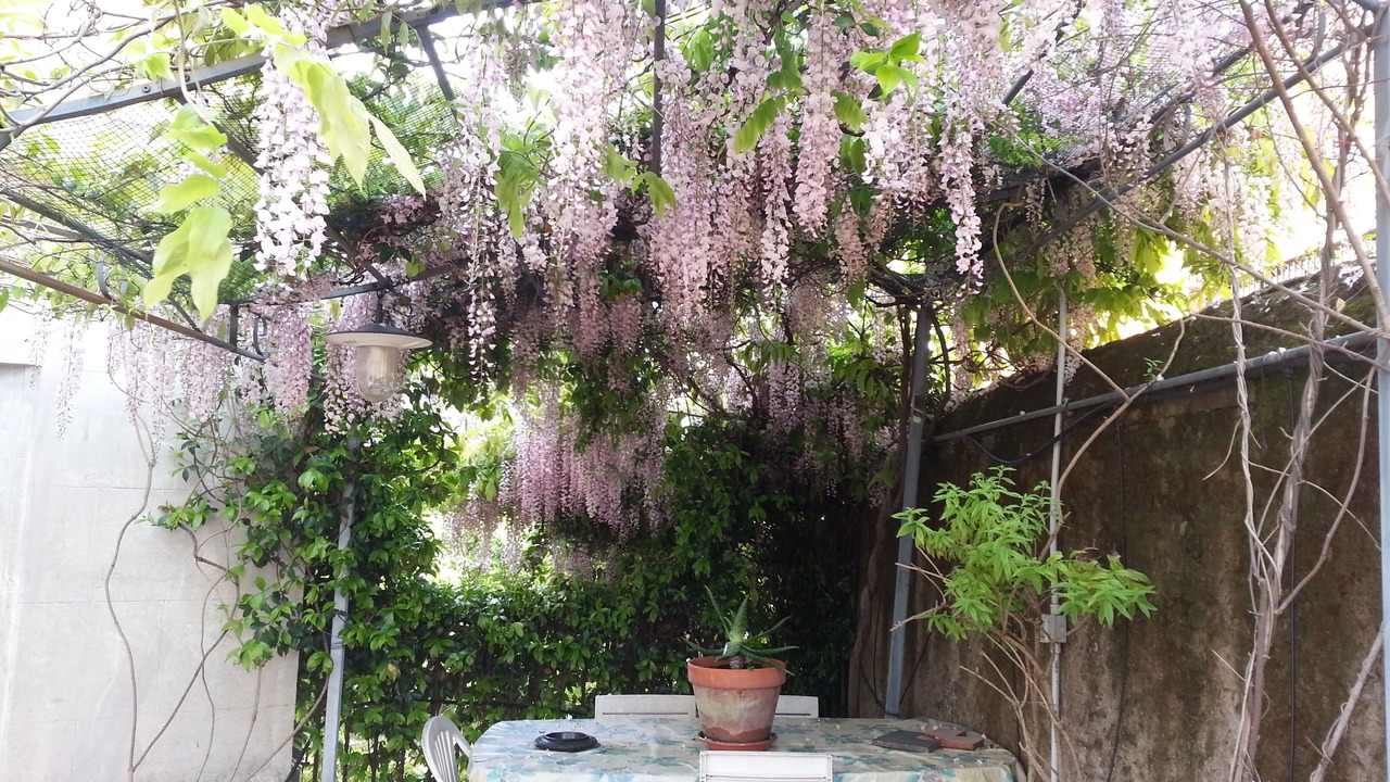 Photo of Outdoor in Prenestino-Centocelle