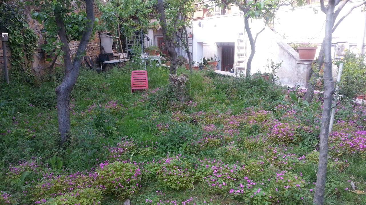 Photo of Outdoor in Prenestino-Centocelle