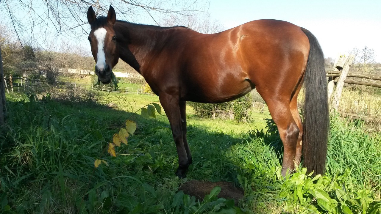 Photo of Outdoor in Velletri