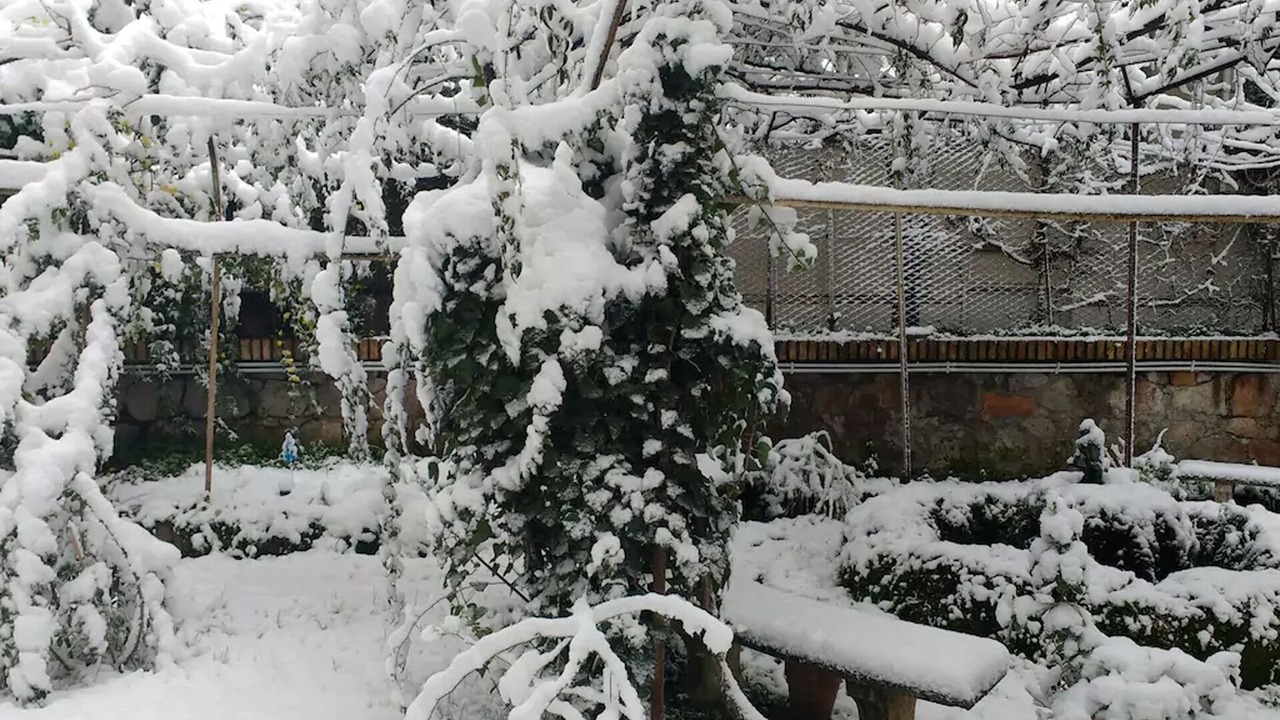Photo of Outdoor in Monte Sacro