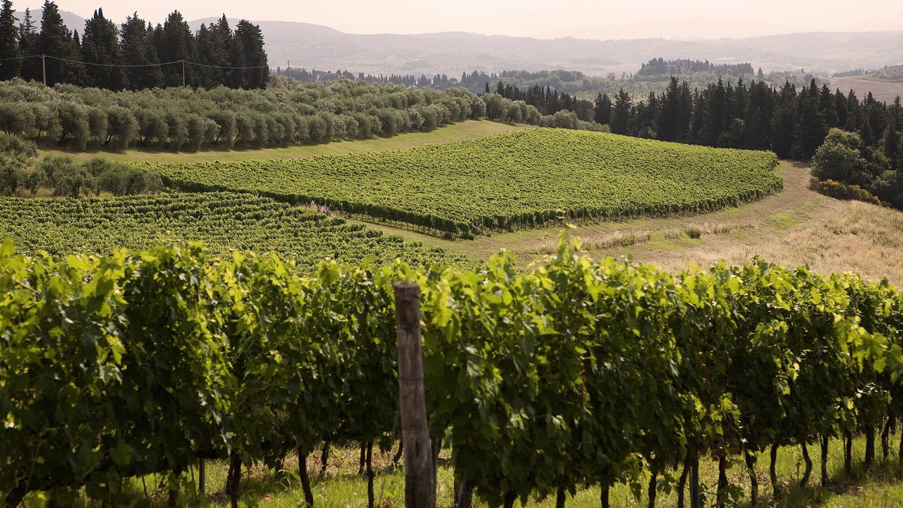 Photo of Outdoor in San Donato a Livizzano