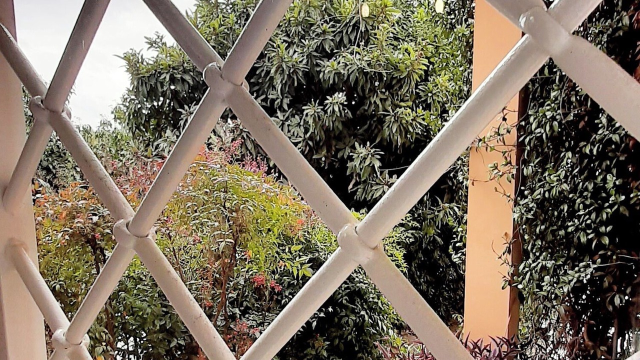 Photo of Outdoor in Torre Angela