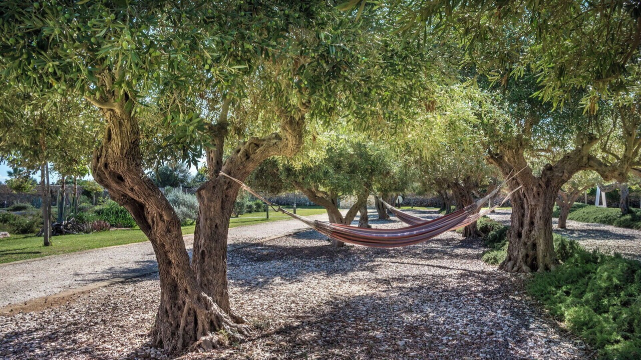 Photo of Outdoor in Favignana