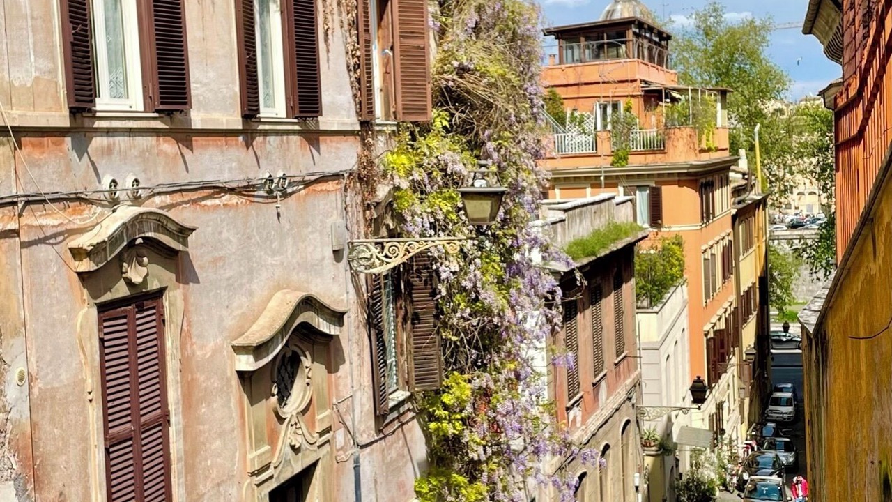 Photo of Others in Trastevere