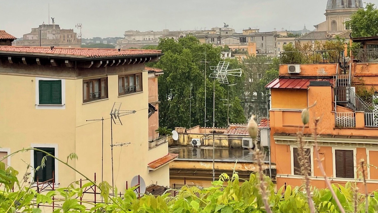 Photo of Others in Trastevere