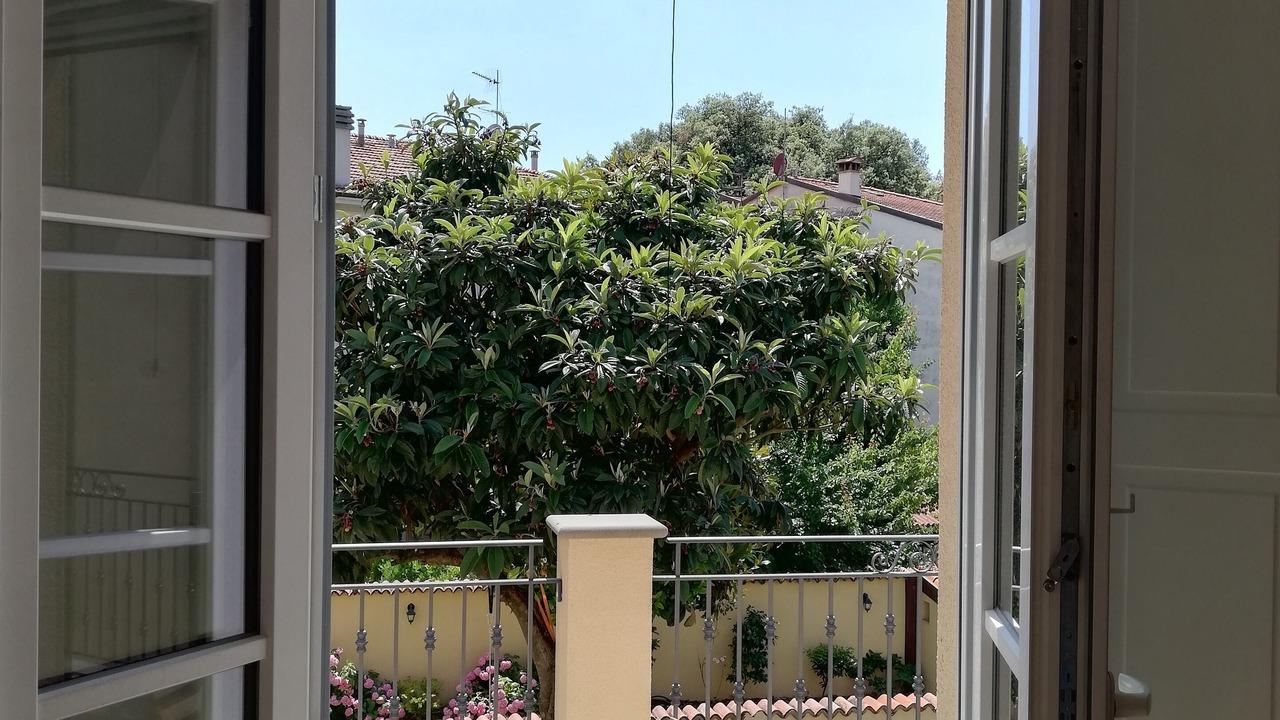 Photo of Others in Pisa City Centre