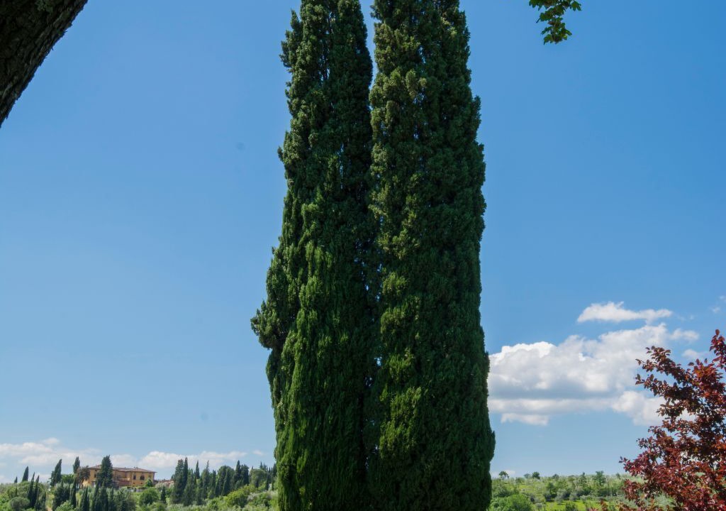 Photo of Others in Grassina