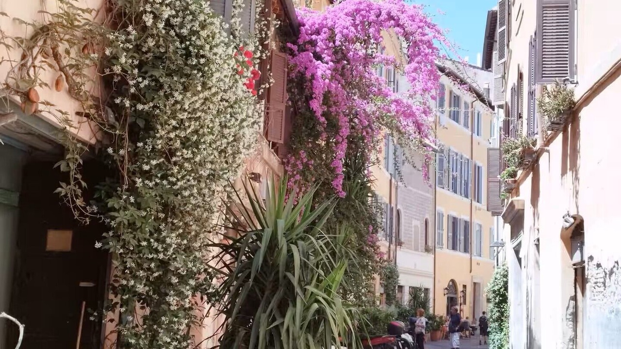Photo of Outdoor in Rione VII Regola