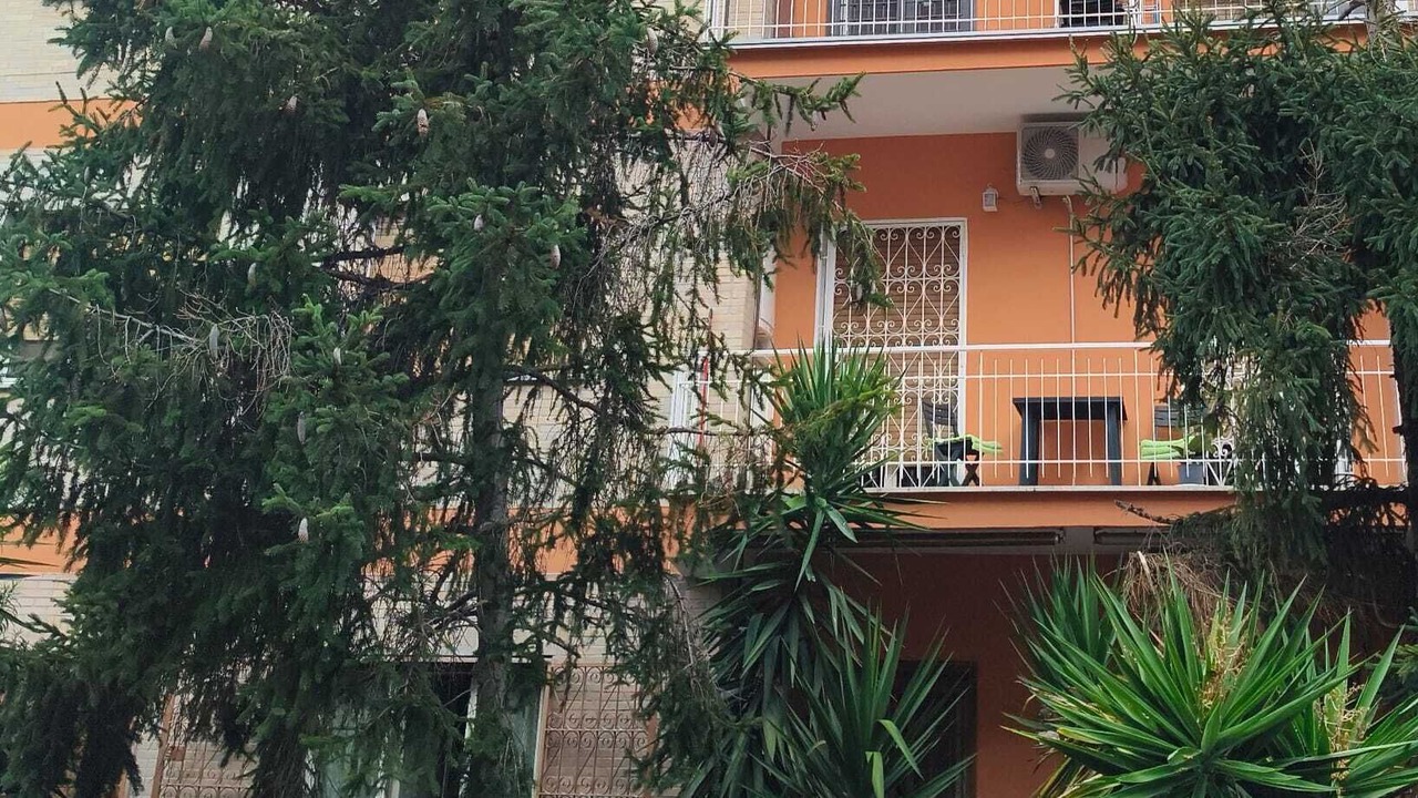 Photo of Outdoor in Aurelio