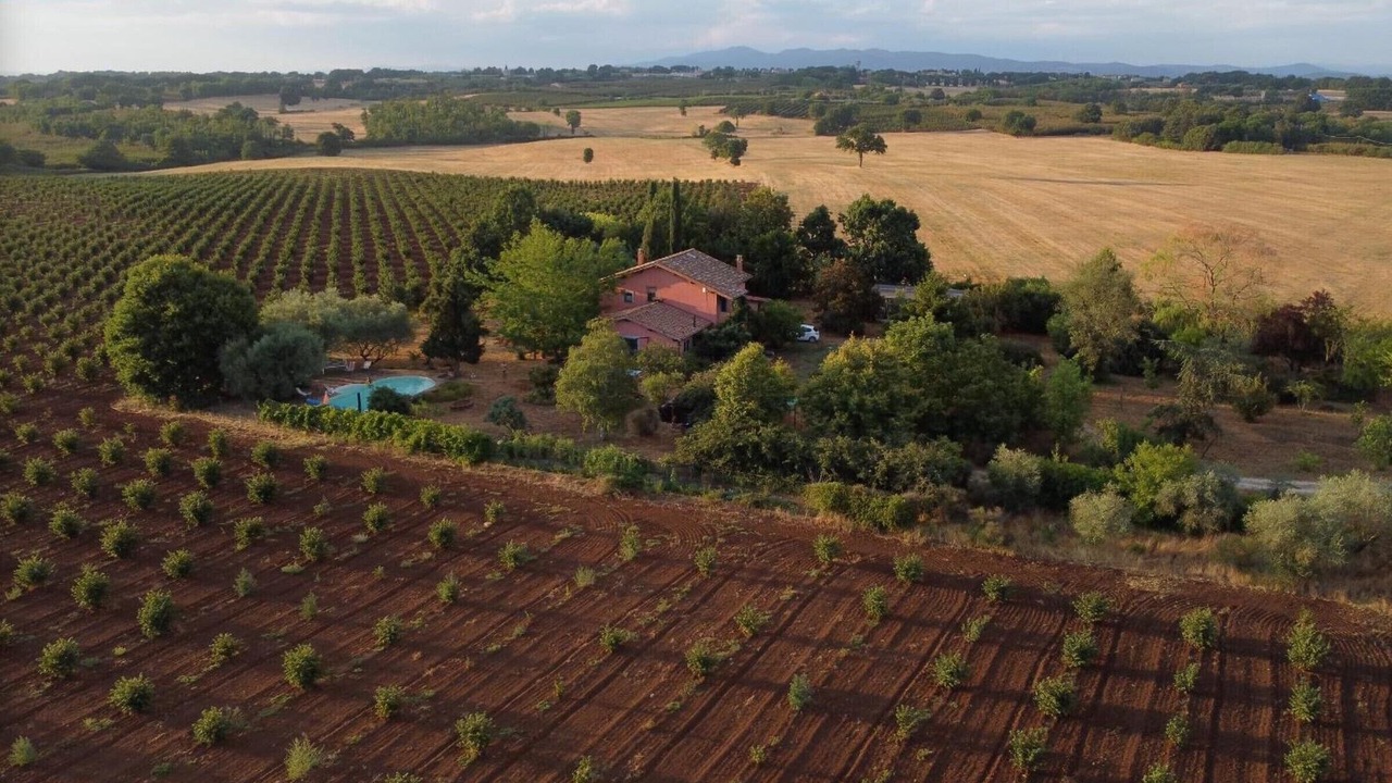 Photo of Outdoor in Soriano nel Cimino
