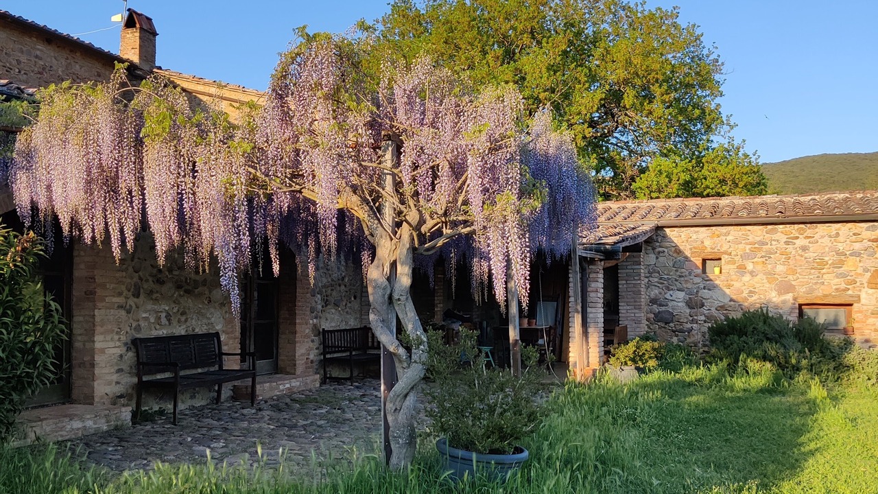 Photo of Outdoor in Civitella Paganico