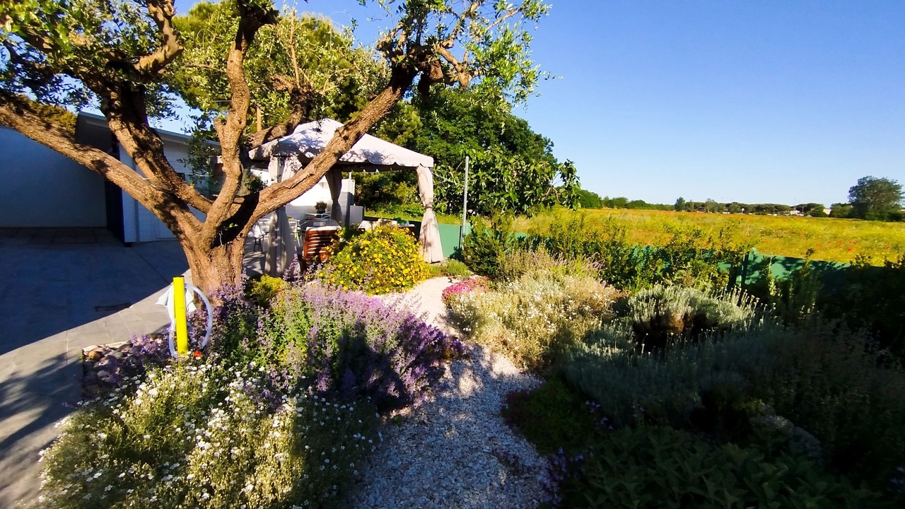 Photo of Outdoor in Castiglione di Cervia