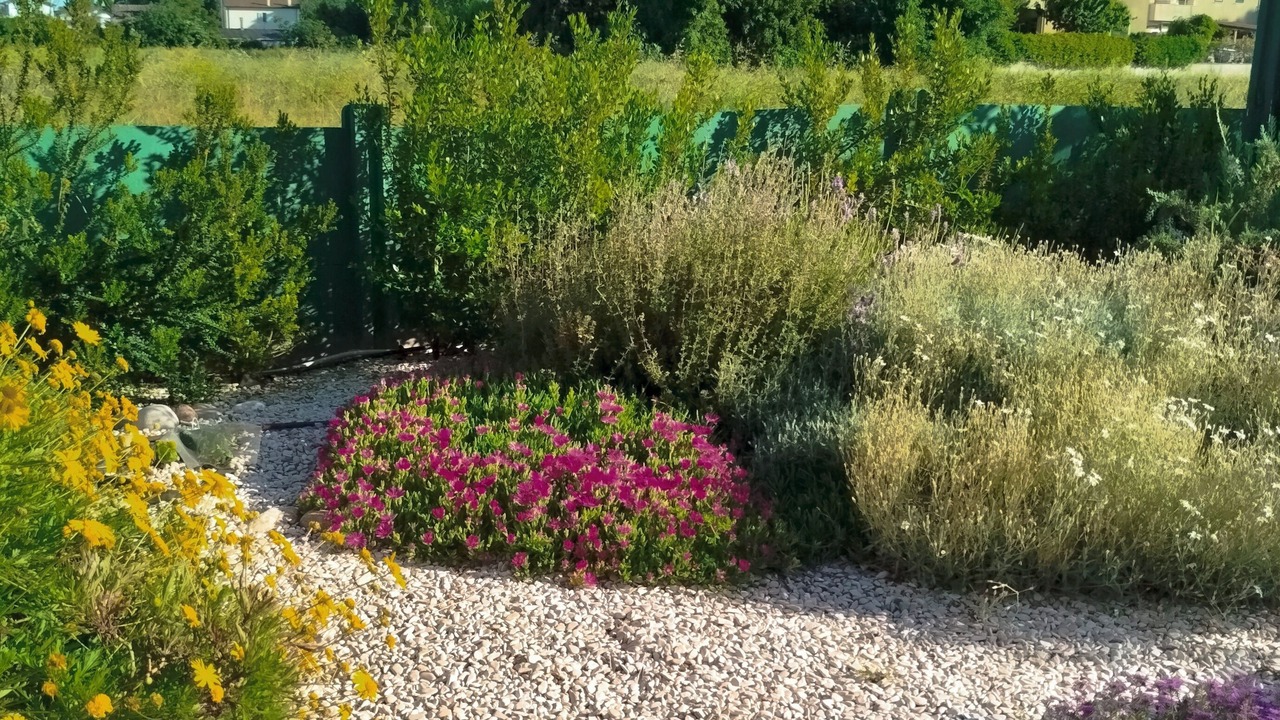 Photo of Outdoor in Castiglione di Cervia