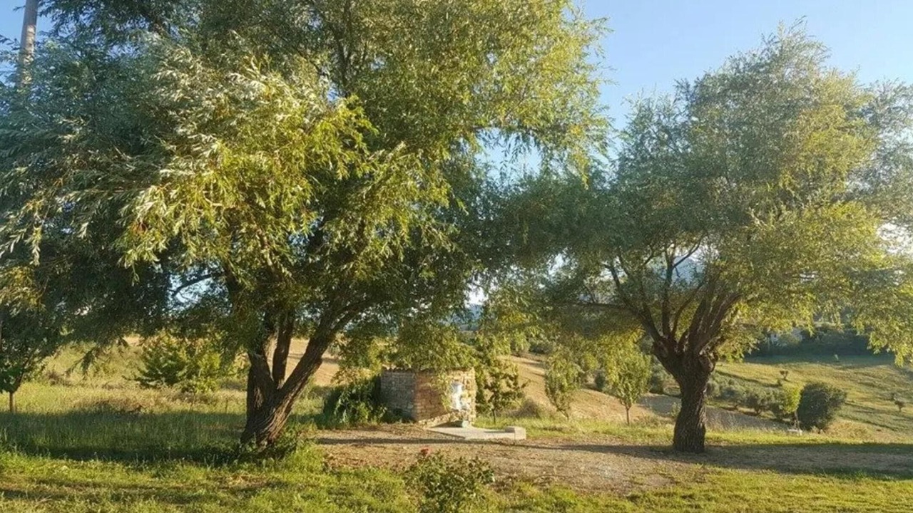Photo of Others in Civitella del Tronto
