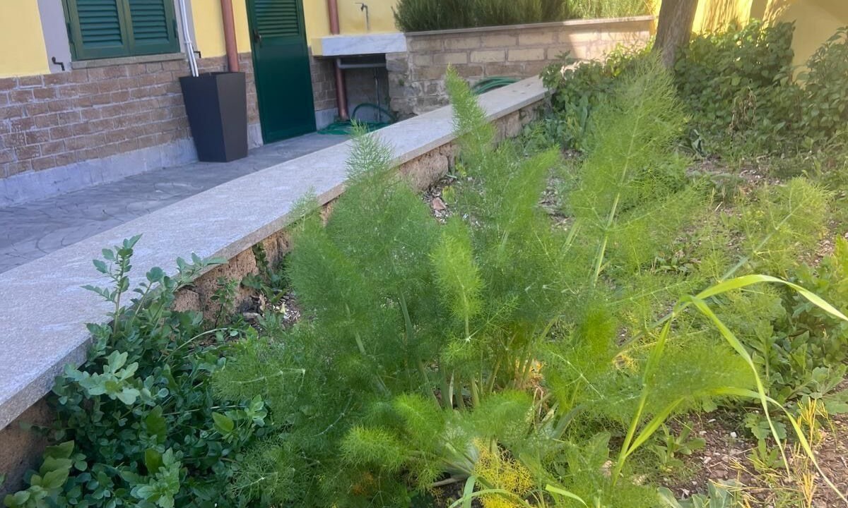 Photo of Outdoor in Zona XXVI Castel di Decima