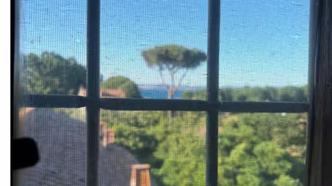 Photo of Others in Lake Bracciano