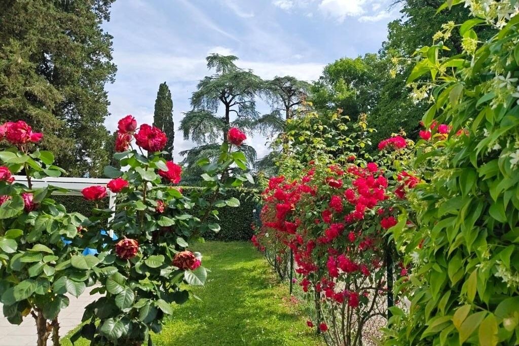 Photo of Outdoor in Scarperia e San Piero