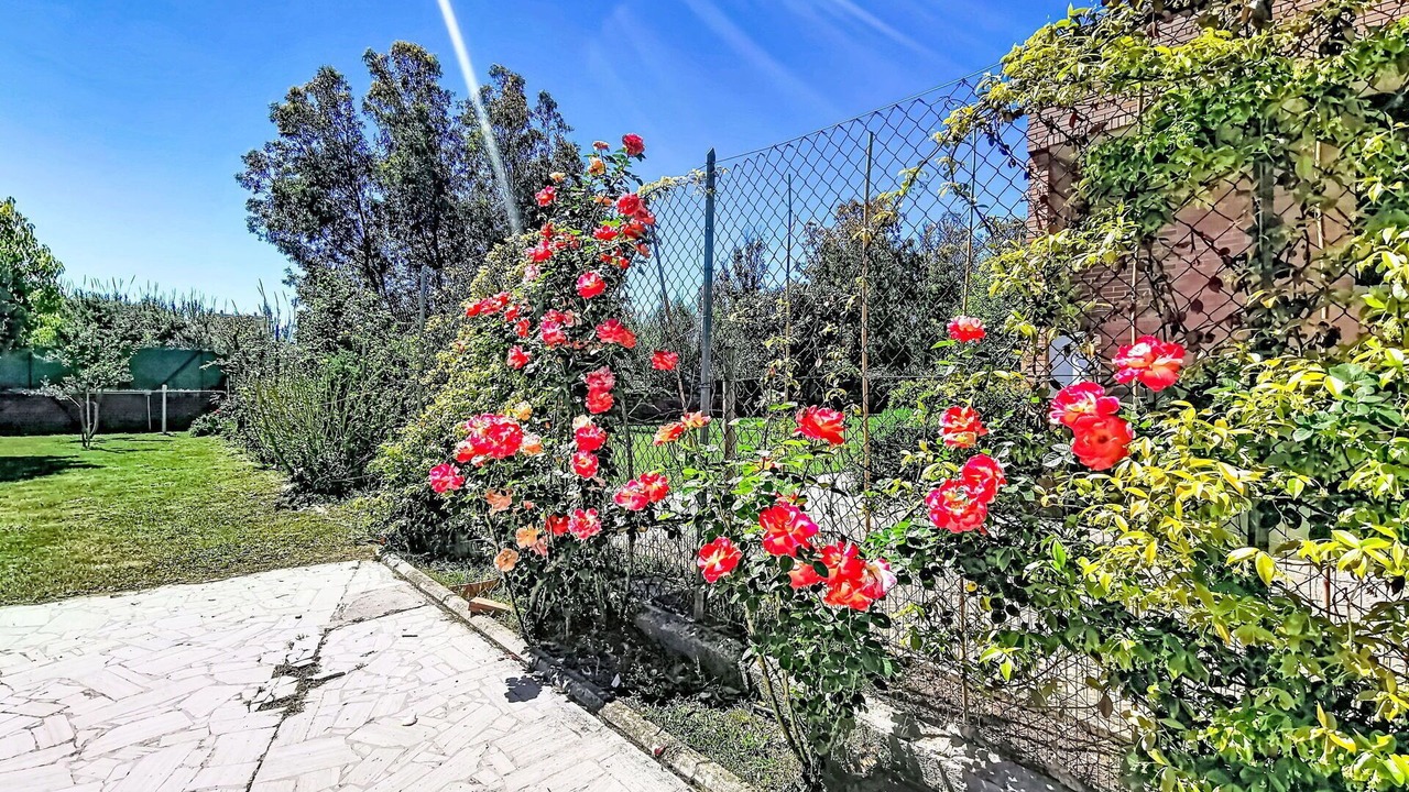 Photo of Outdoor in Foce Verde