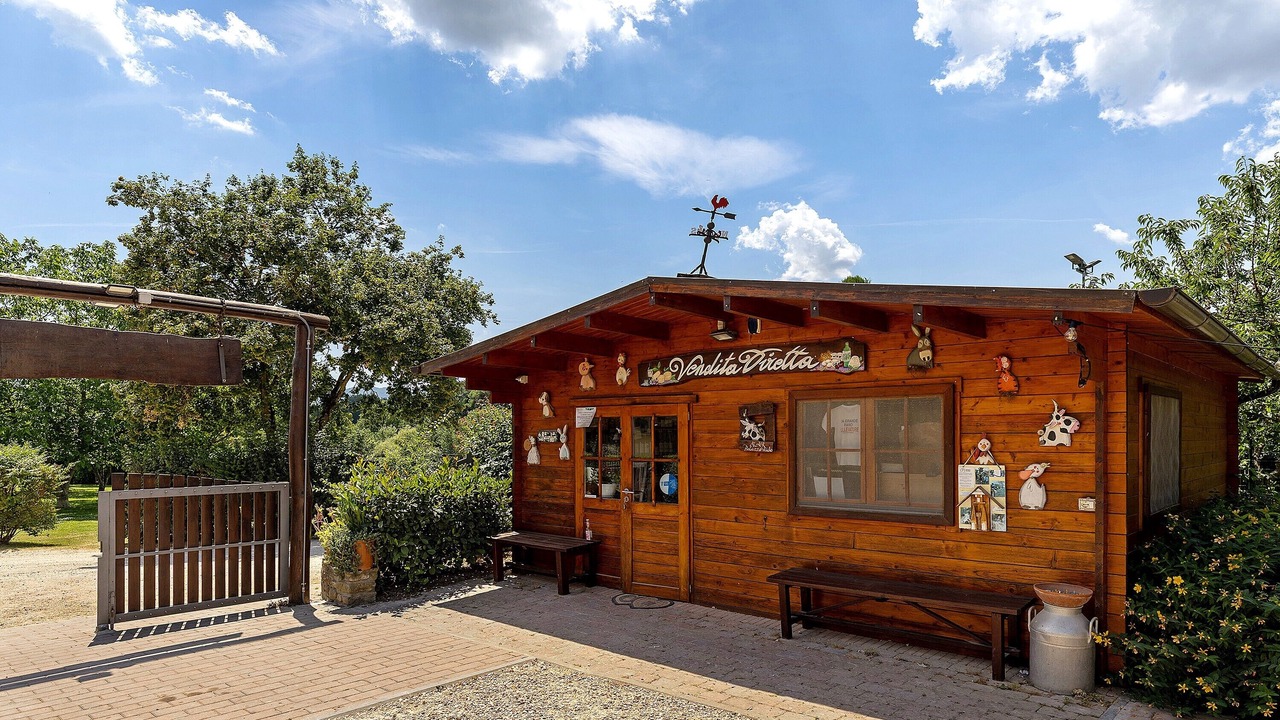 Photo of Outdoor in Borgo San Lorenzo