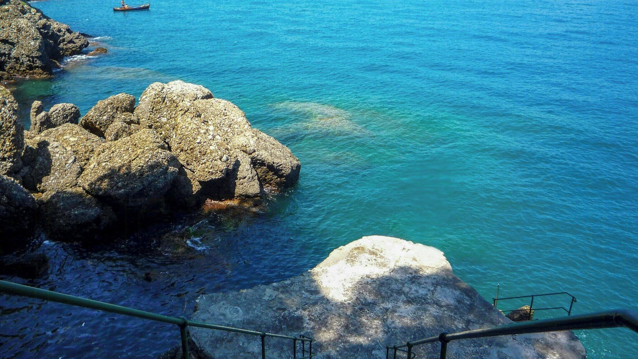 Photo of Others in Portofino