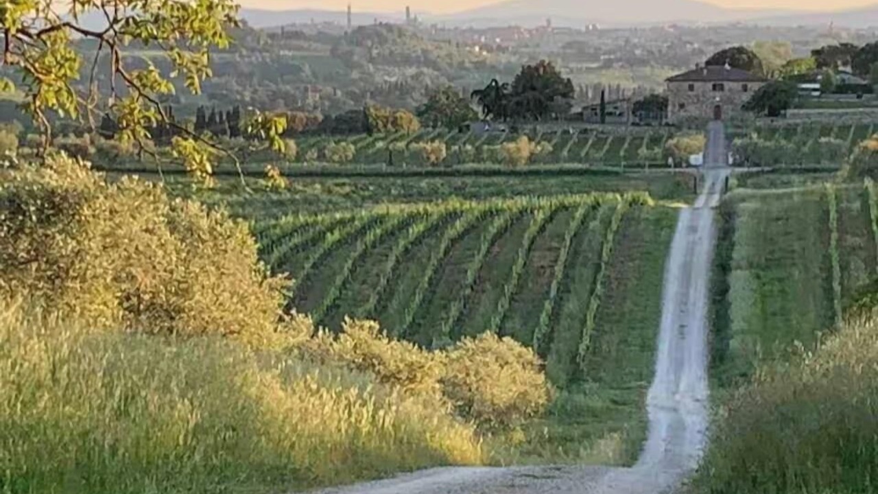 Photo of Others in Ponte di Gabbiano