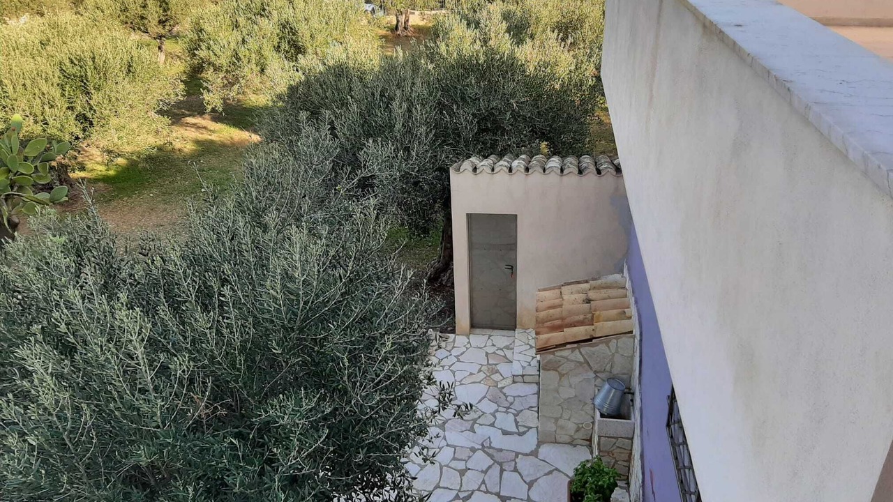 Photo of Outdoor in Paceco