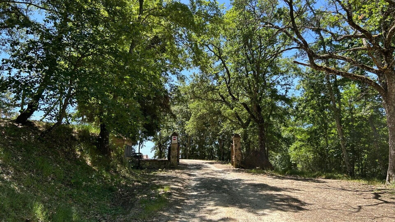Photo of Outdoor in Chiusdino