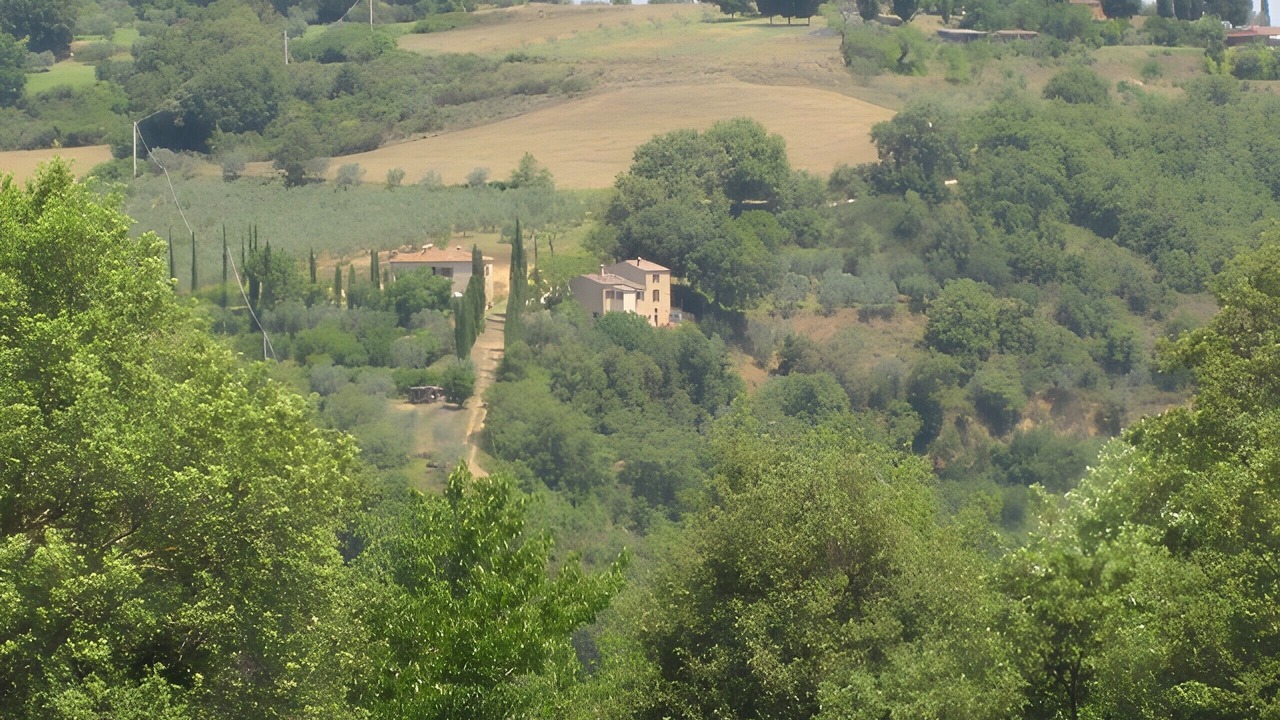 Photo of Others in Montefollonico