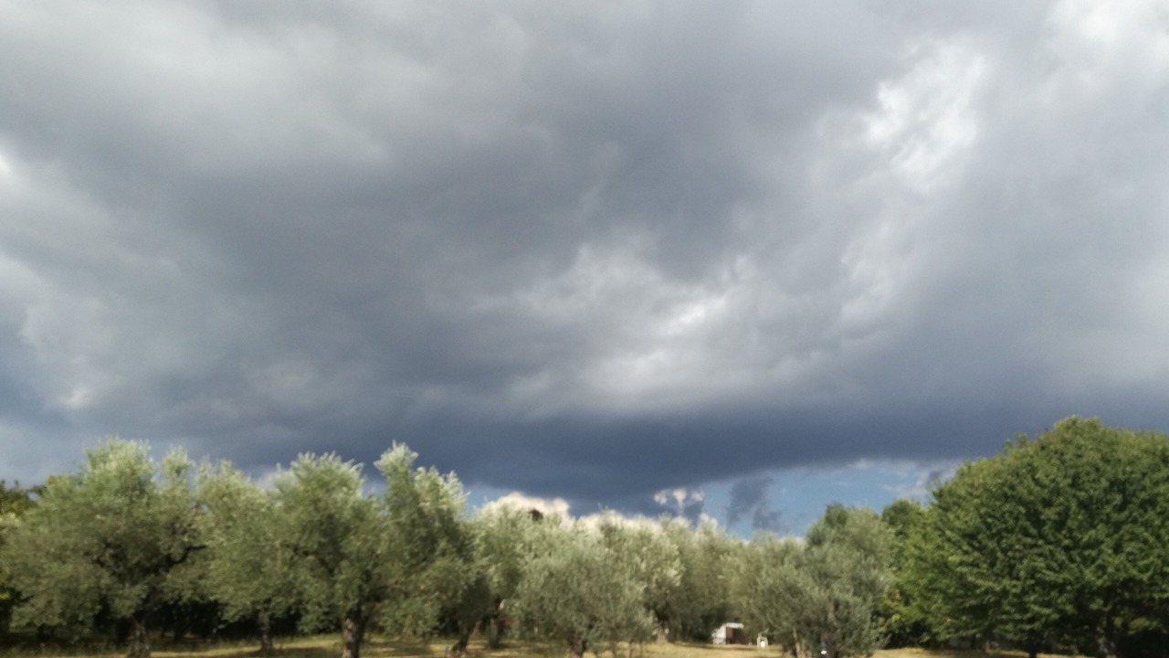 Photo of Others in Zagarolo