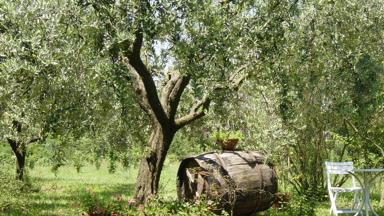 Photo of Outdoor in Zagarolo