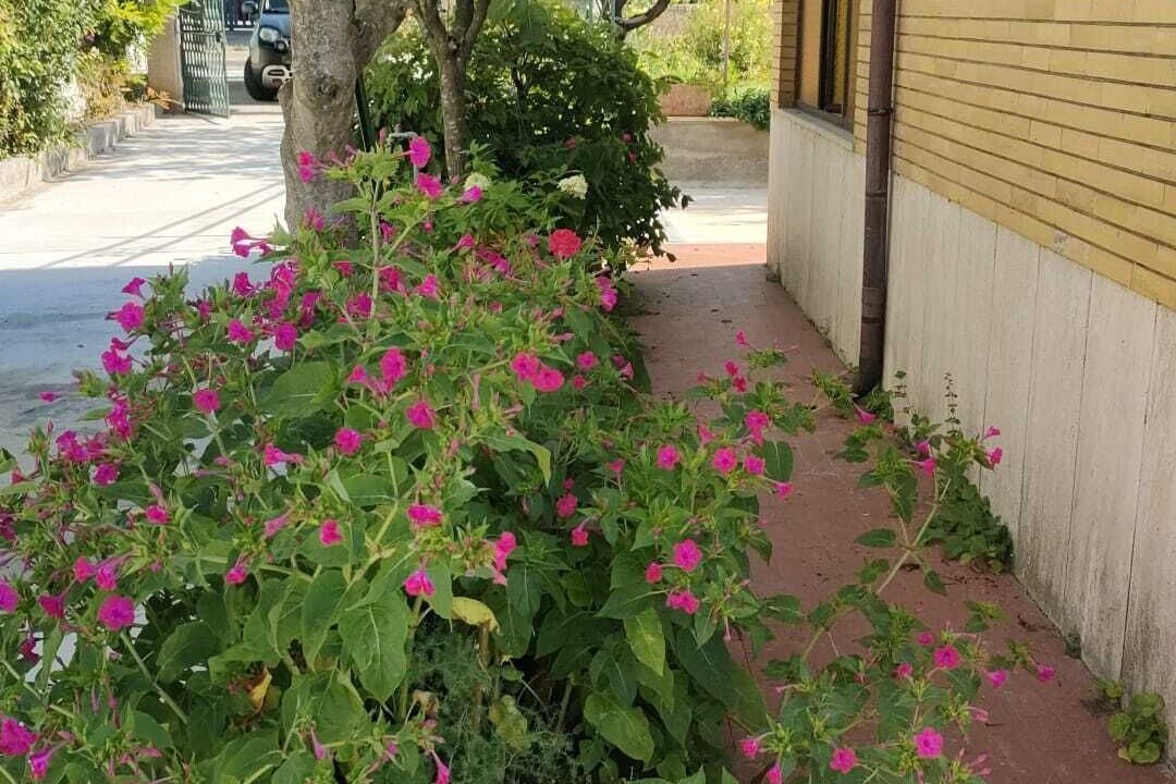Photo of Outdoor in Alatri