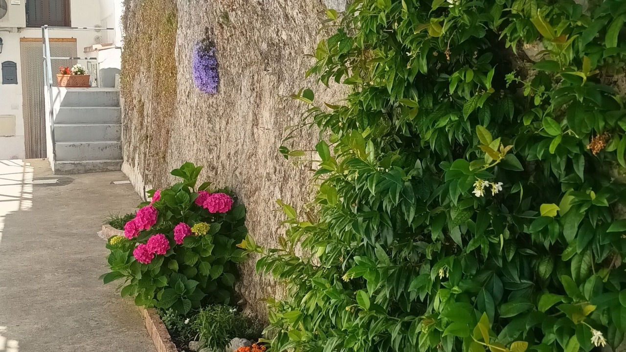 Photo of Outdoor in Minori