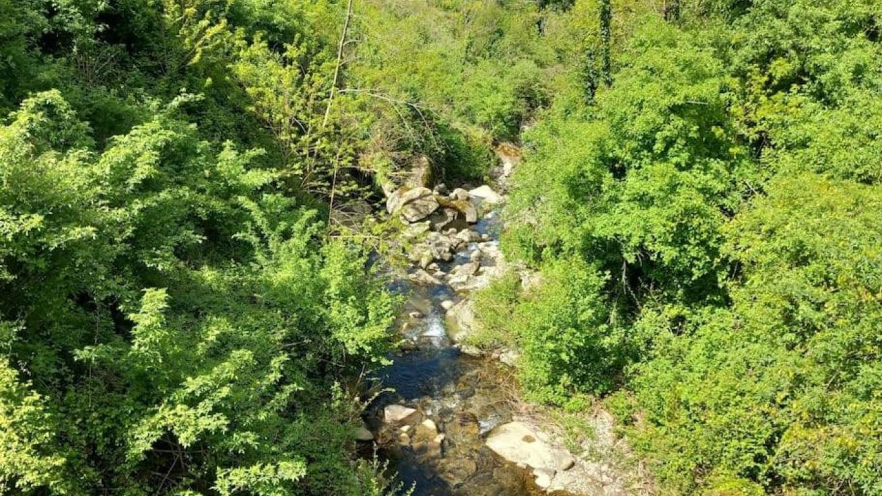 Photo of Others in Pelago