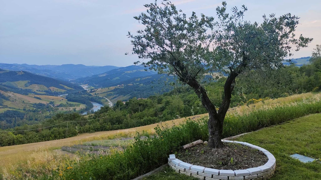 Photo of Outdoor in Pieve Di Trebbio