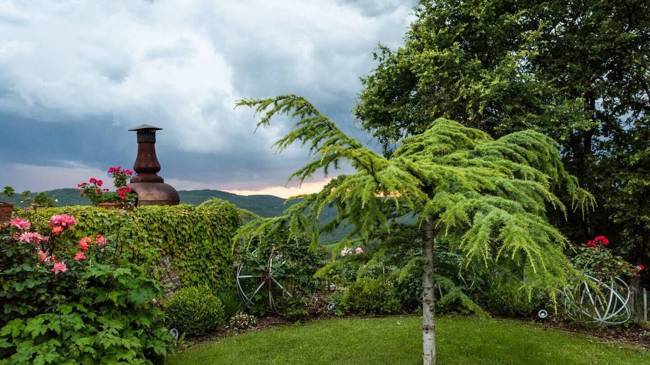 Photo of Outdoor in Radda in Chianti