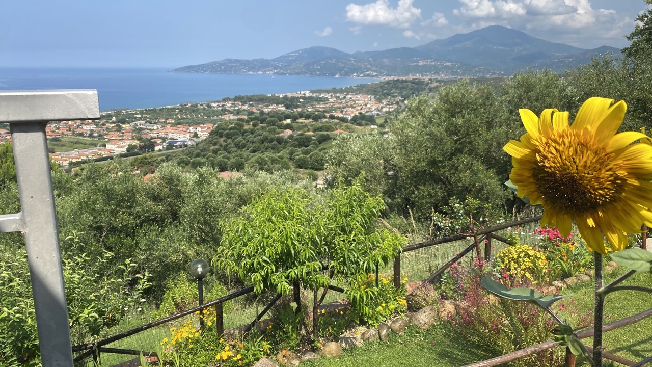 Photo of Outdoor in Ascea