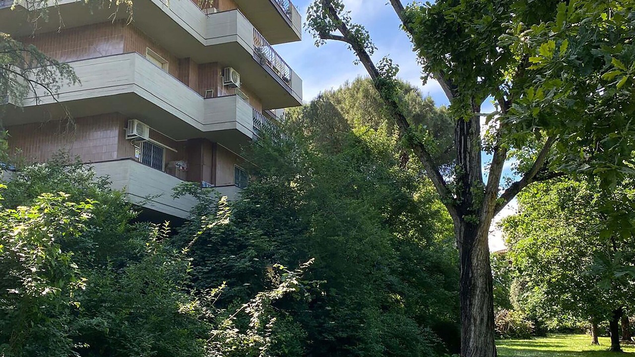 Photo of Outdoor in Isolotto