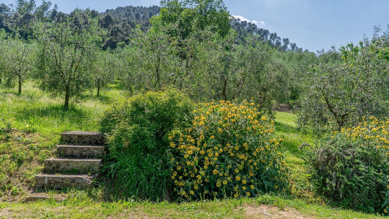 Photo of Outdoor in Colle di Compito