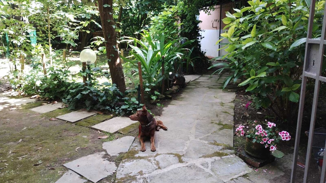 Photo of Outdoor in San Francesco