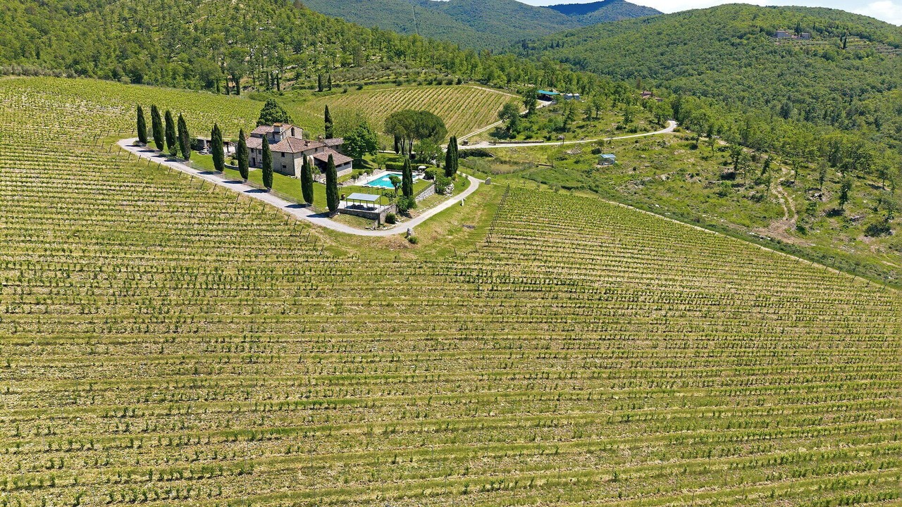 Photo of Others in Gaiole in Chianti