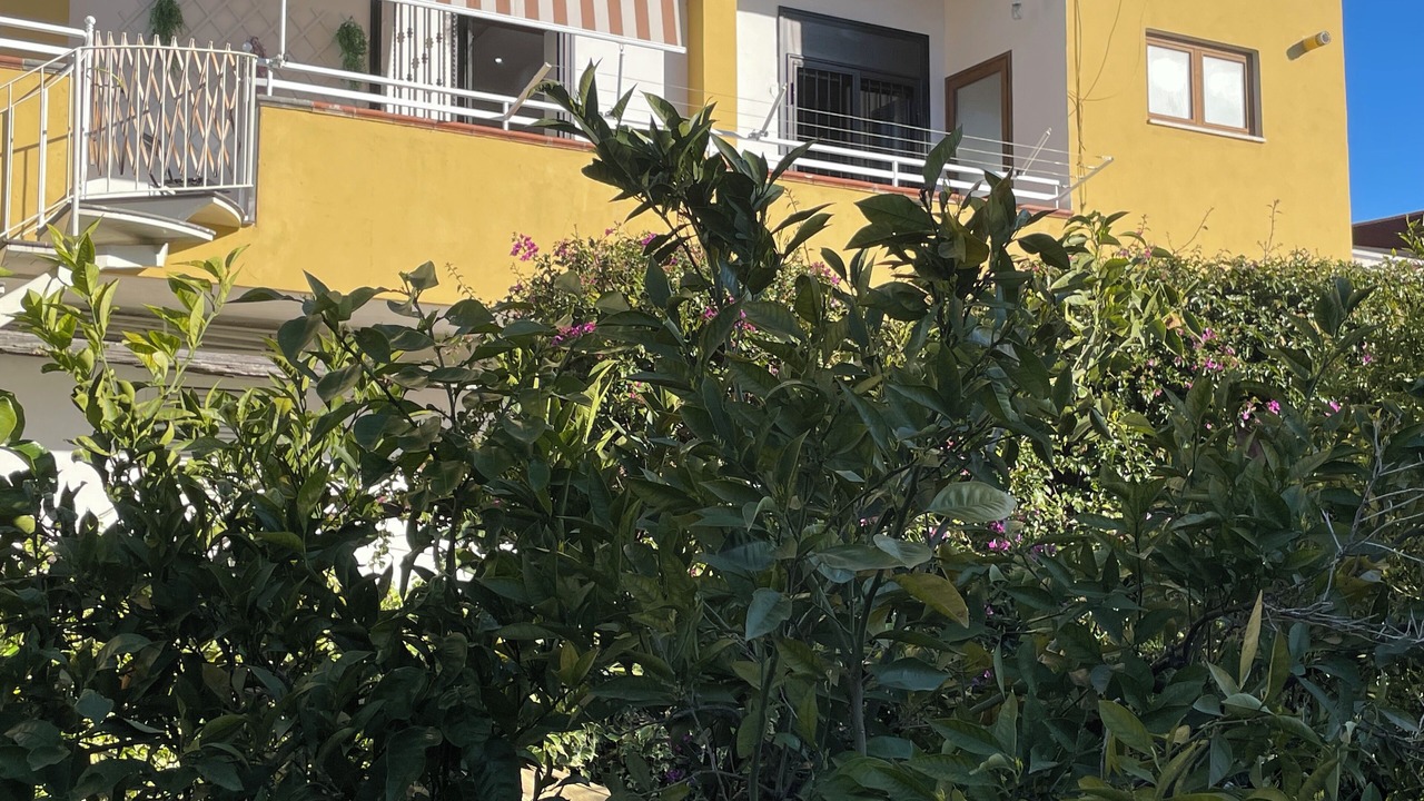 Photo of Outdoor in Boscoreale