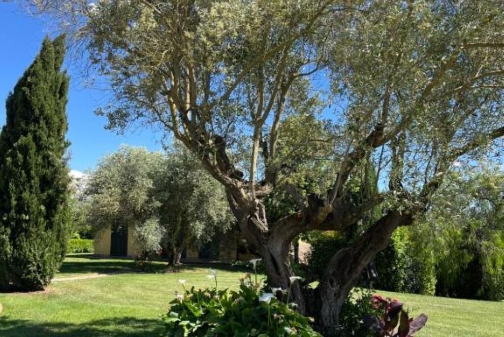 Photo of Outdoor in Zona LI La Storta