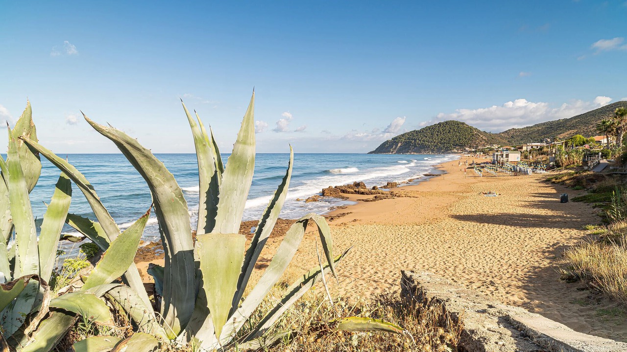 Photo of Others in Alani