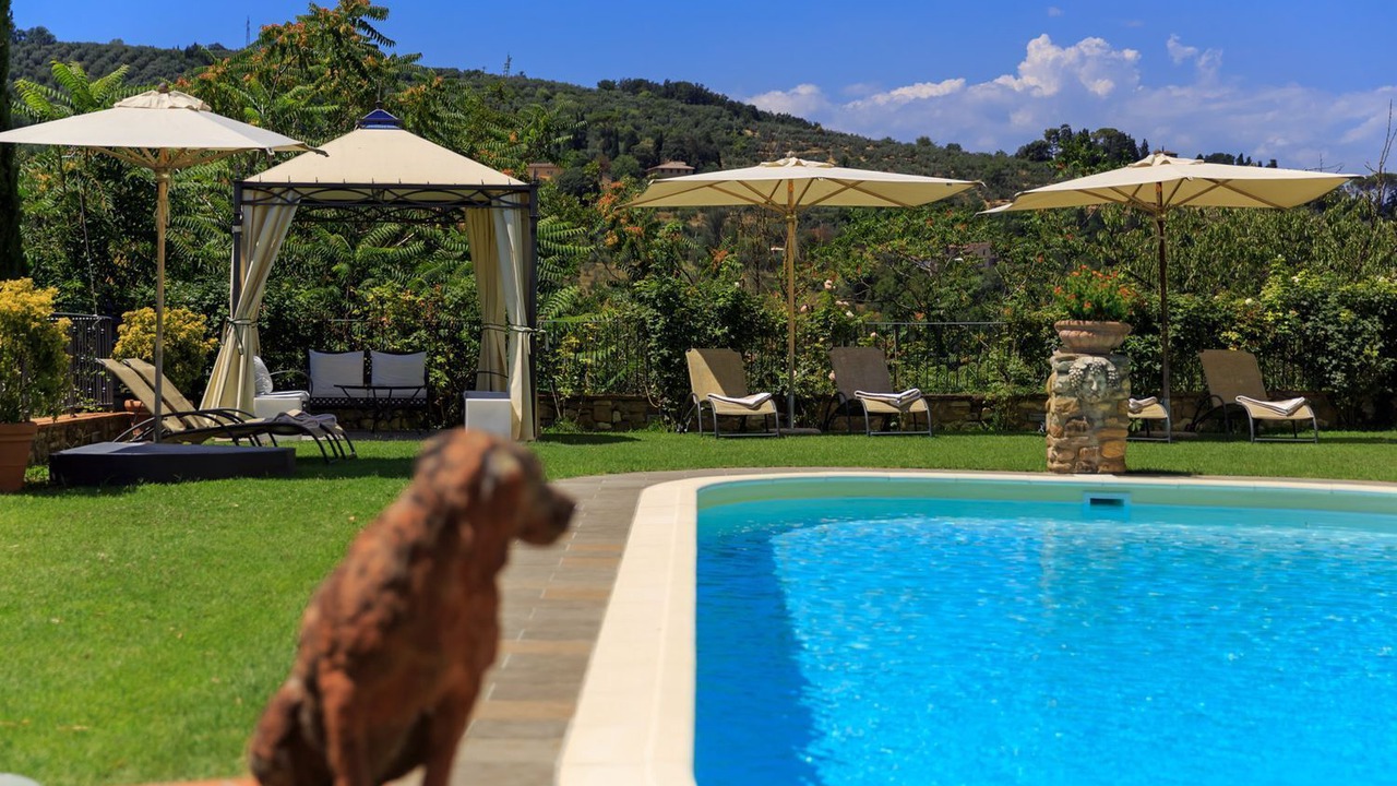 Photo of Outdoor in Grassina