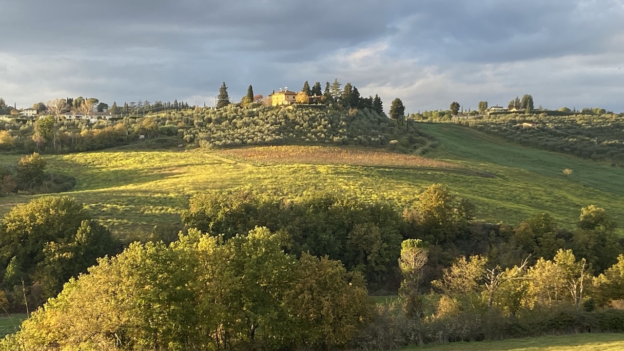 Photo of Others in Scandicci